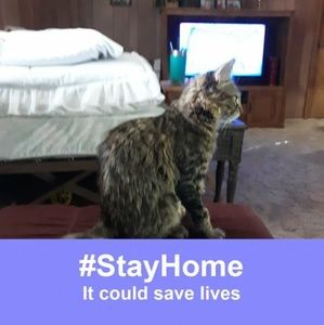 Meet your Posher, Jean